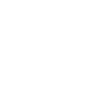 praneethsinguluri.me favicon